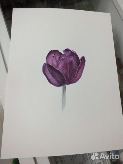 Картины акварелью