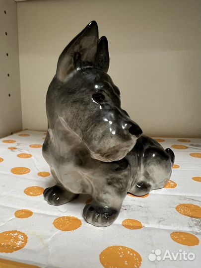 Скотчтерьер лфз 1960-е гг