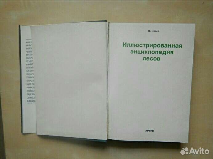 Энциклопедия лесов