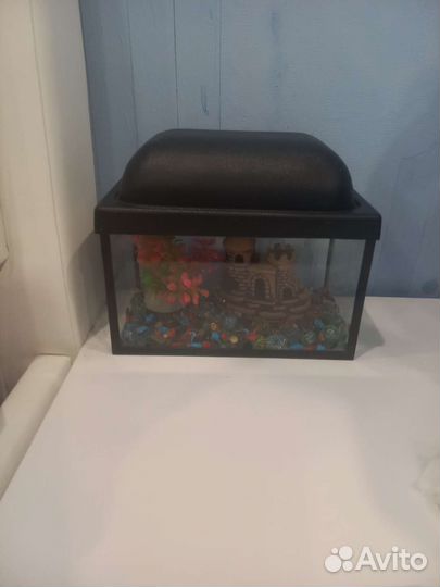 Аквариум