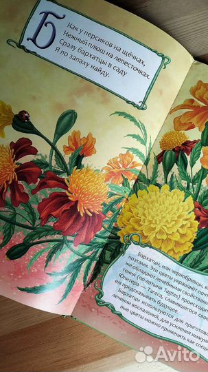 Цветочная азбука