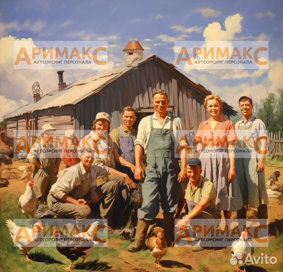 Разнорабочий на птицефабрику, вахта, жилье