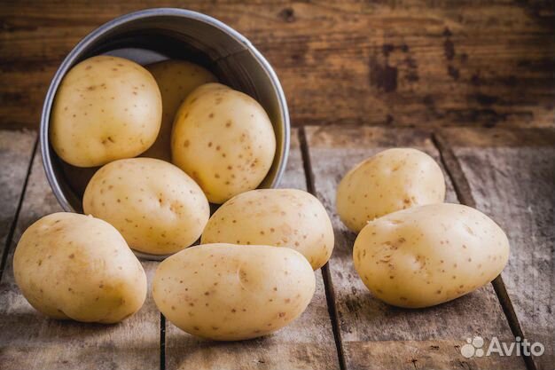 Продам картофель урожай 2023