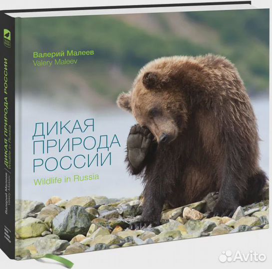 Дикая природа России / Wildlife in Russia Малеев В