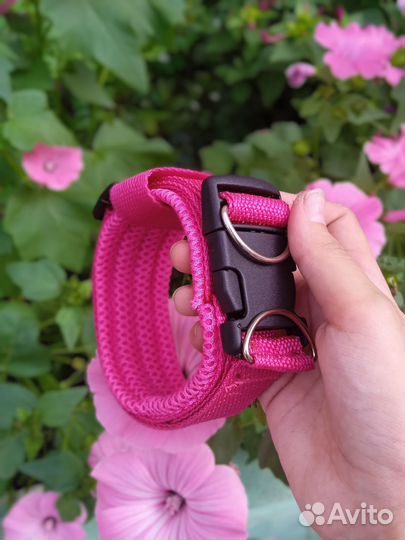 Ошейник для собак и кошек