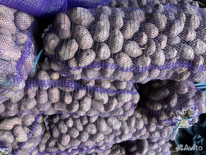 Картофель оптом и в розницу