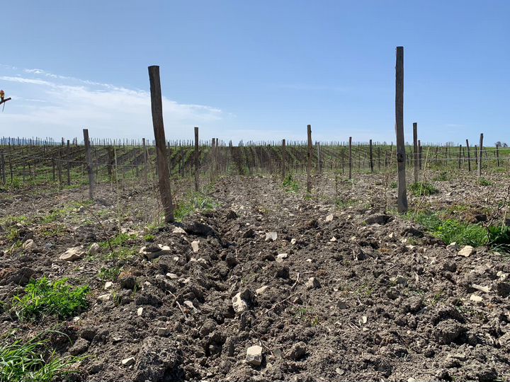 Участок 10 га (СНТ, ДНП)