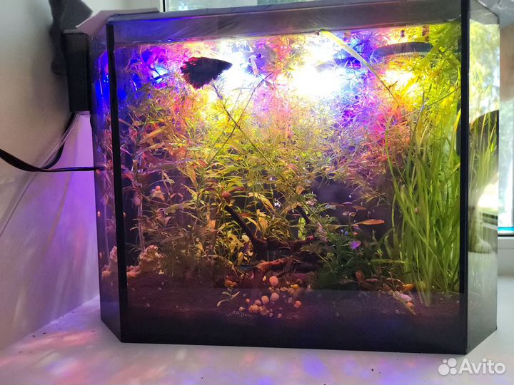 Аквариум 35 литров