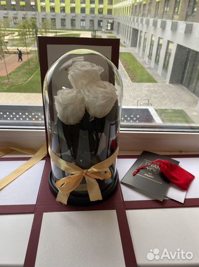 Роза в колбе