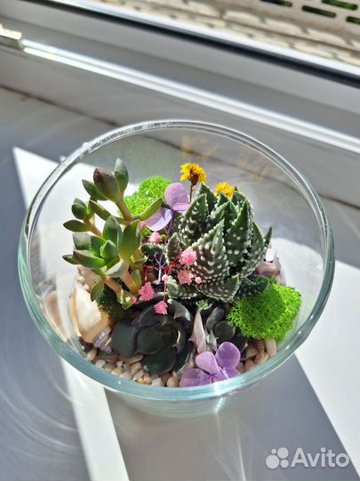 Флорариум мини букет