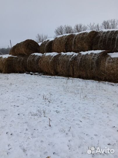 Продам сено в тюках