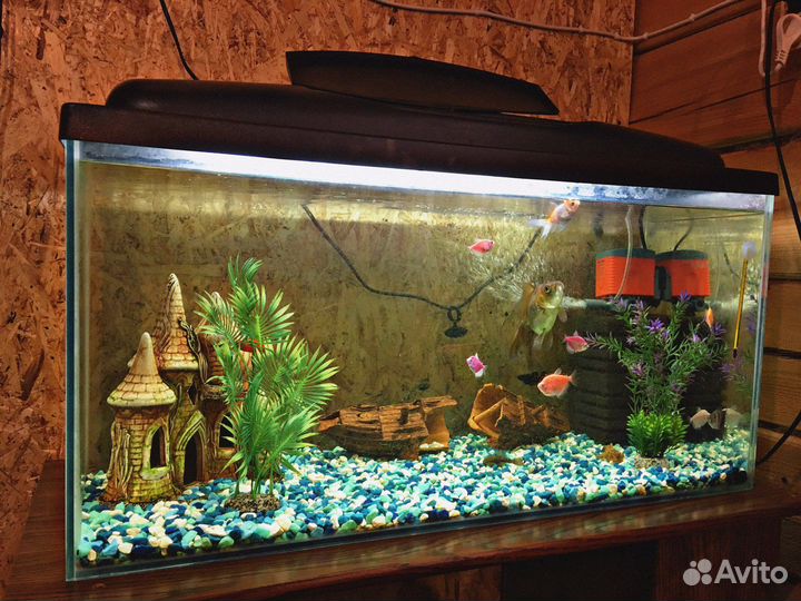 Аквариум