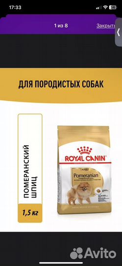 Корм для собак