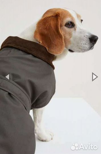 Пальто H&M для собак