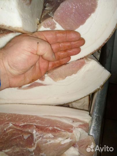 Сало соленое