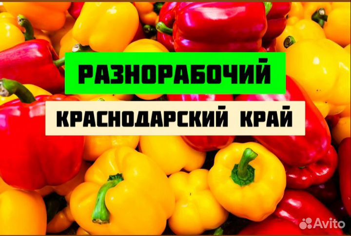 Разнорабочий Краснодарский край вахта от 15 дней