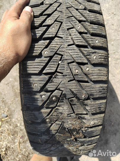 Amtel NordMaster Evo 215/55 R17