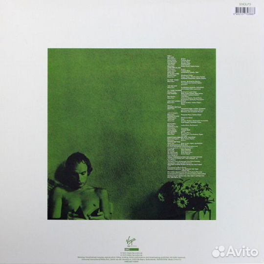 Виниловая пластинка Brian Eno / Another Green Worl