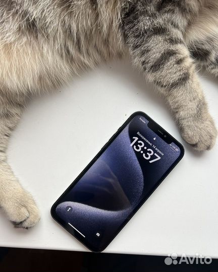 iPhone 12 Pro Max, 128 ГБ