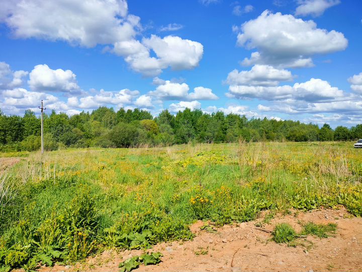 Участок 26 сот. (ИЖС)