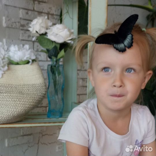 Ферма бабочек для самост выращивания