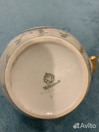 ГДР 'Роза 'масленка