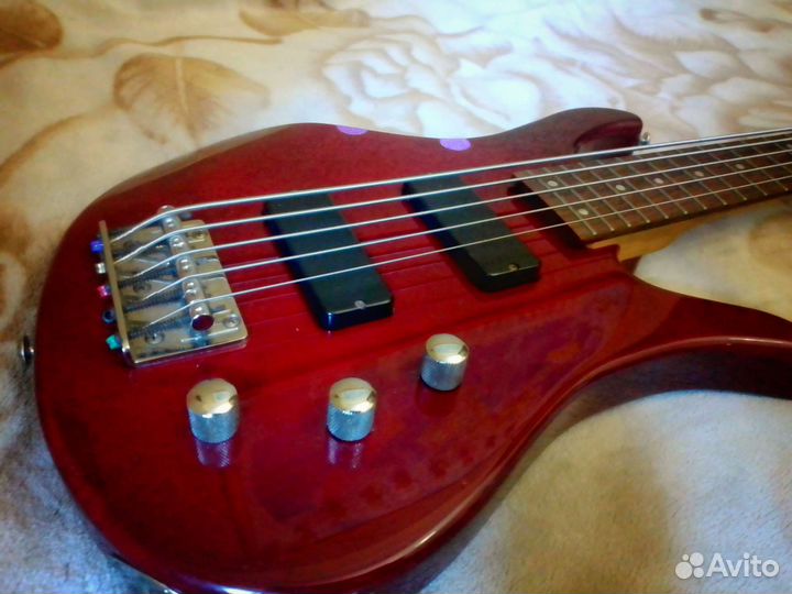 5 струнная бас гитара + процессор эффектов