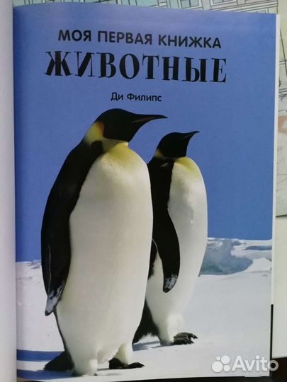 Книга про животных