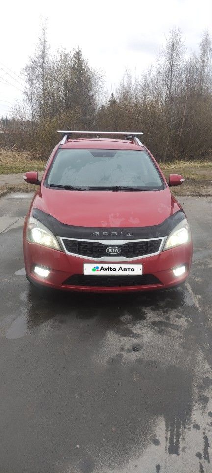 Kia Ceed: фото владельца