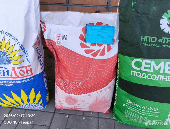 Семена подсолнечника Нови Сад 6341 под евролайтинг