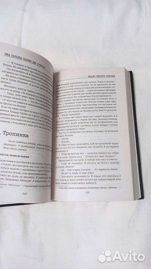 «жало белого города» Ева Гарсиа Саэнс де Уртури
