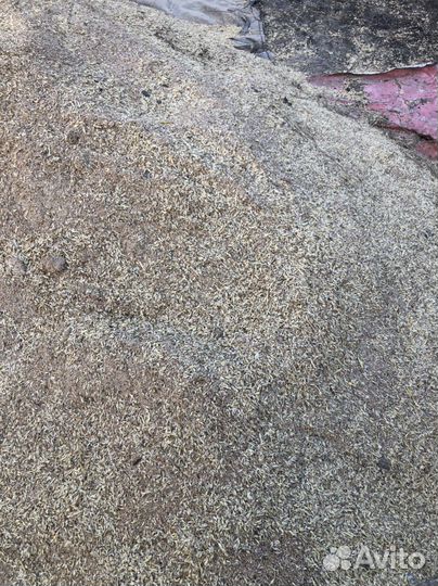 Отходы от пшеницы