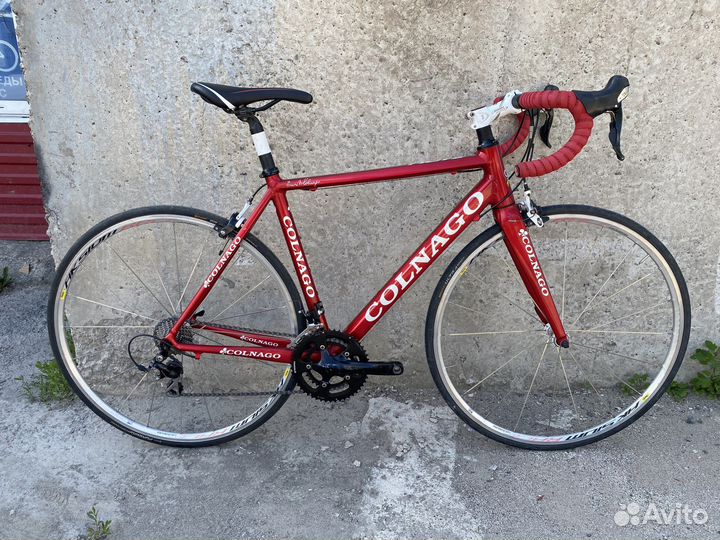Colnago Move
