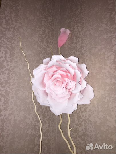 Ростовые цветы