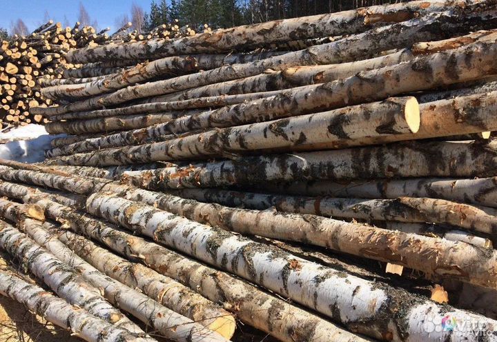 Дрова длинномер