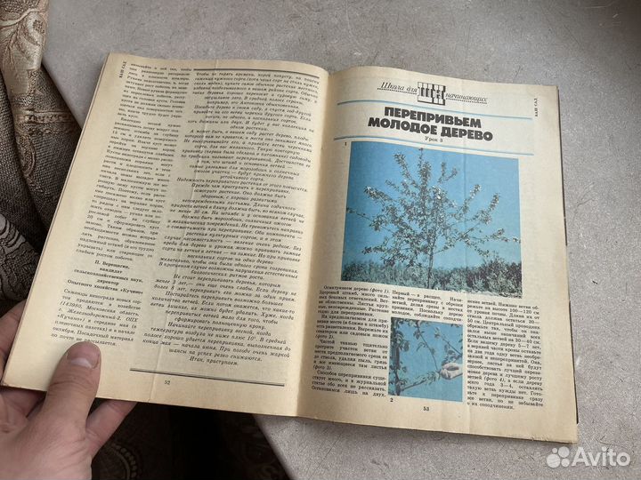 Приусадебное хозяйство 1990 год