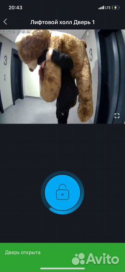 Плюшевый медведь