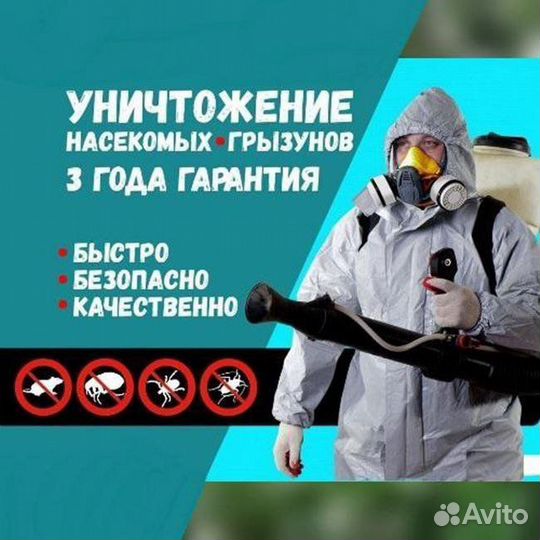 Уничтожение клопов тараканов крыс мышей