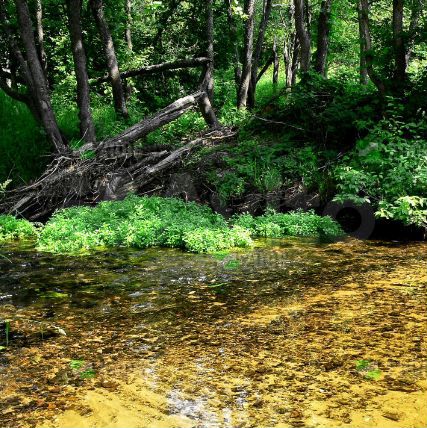 Участок 15 сот. (ИЖС)