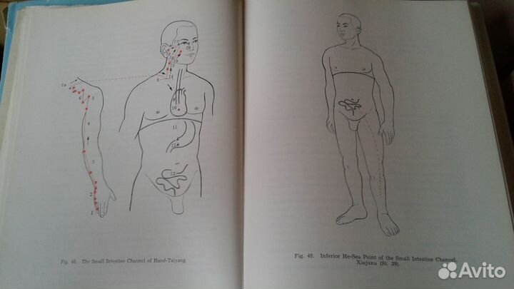 Два фундаментальных руководства по акупунктуре