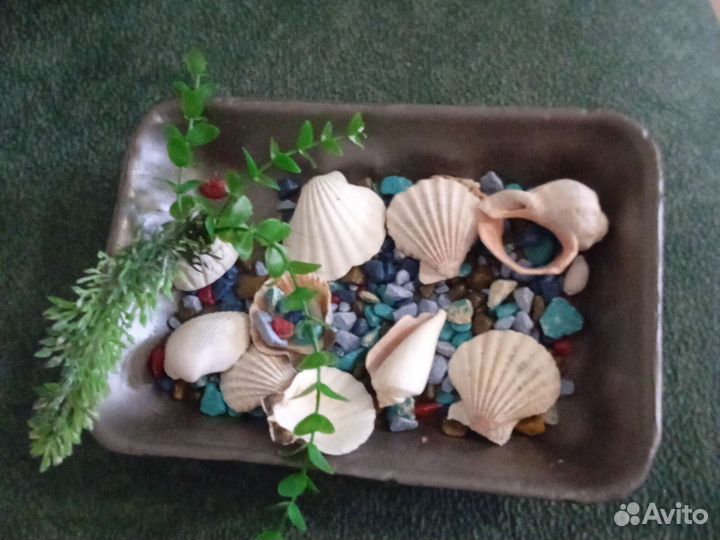 Набор для аквариума