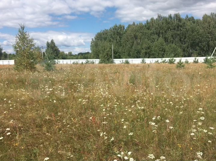 Участок 21 сот. (СНТ, ДНП)