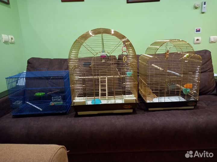 Продам клетку