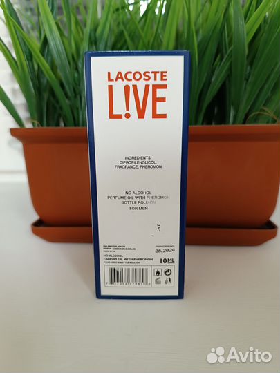 Lacoste live pour homme