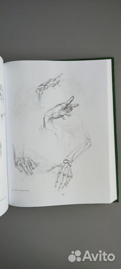 Основы учебного академического рисунка