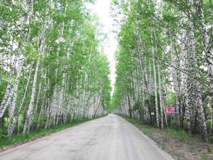 Коттедж 187 м² на участке 10 сот.