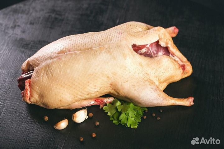 Мясо утки мулард