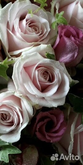 Доставка букетов