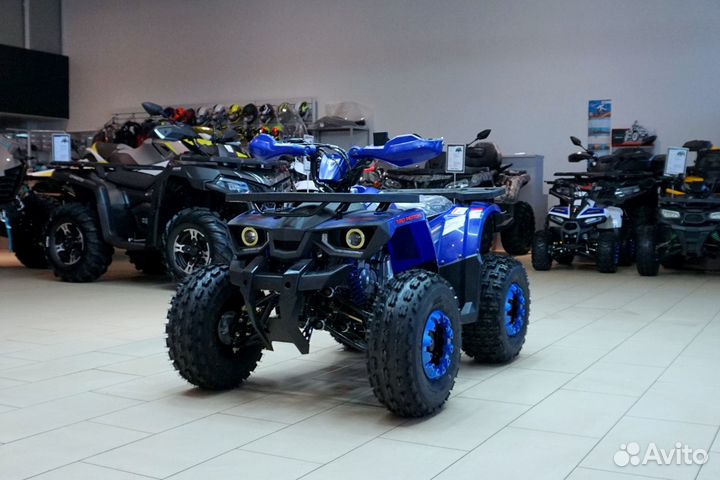 Avantis Hunter 8 New