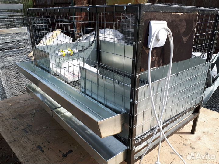 Клетка брудер для молодняка птиц